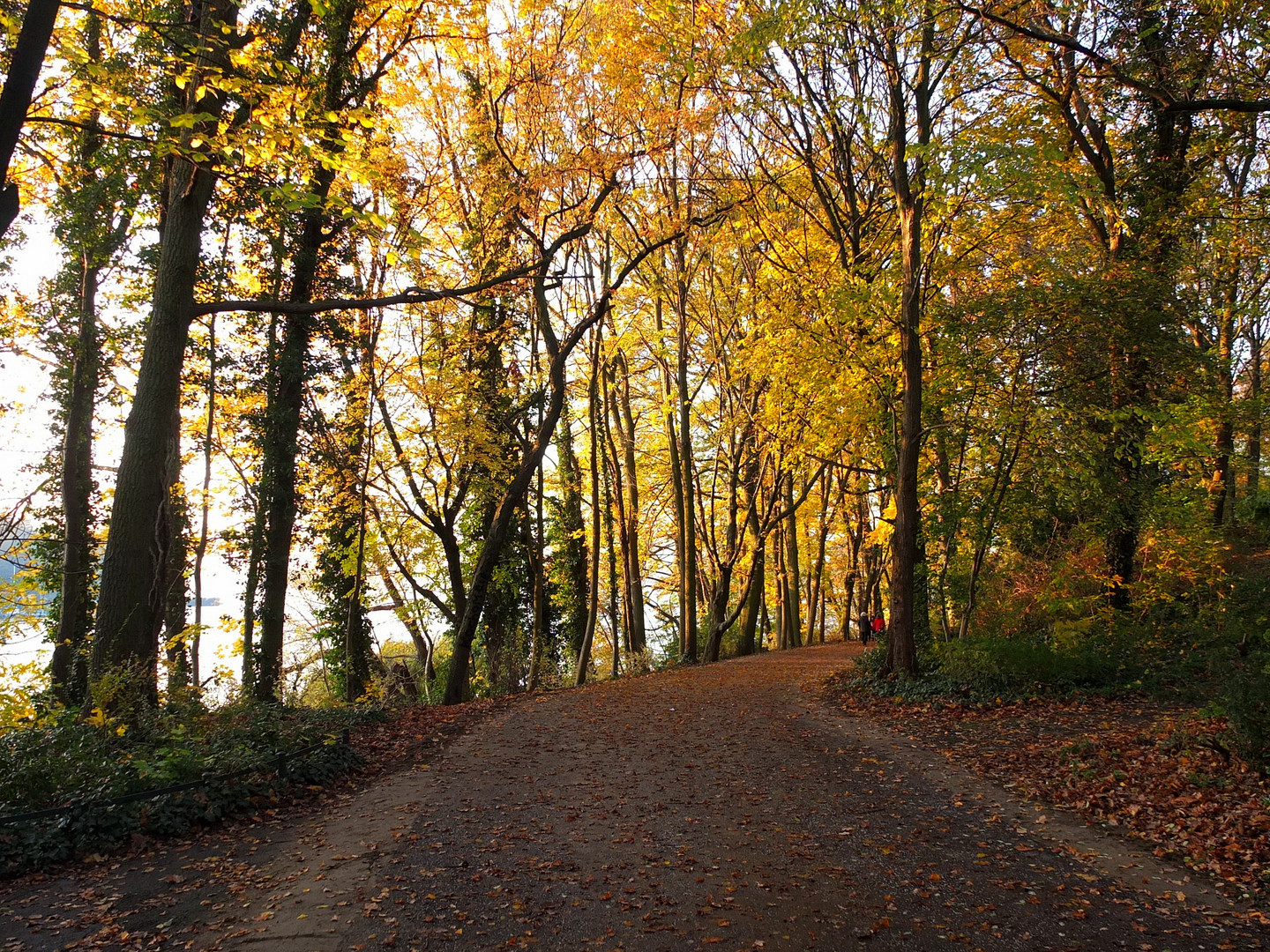 Herbst am See