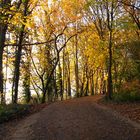 Herbst am See