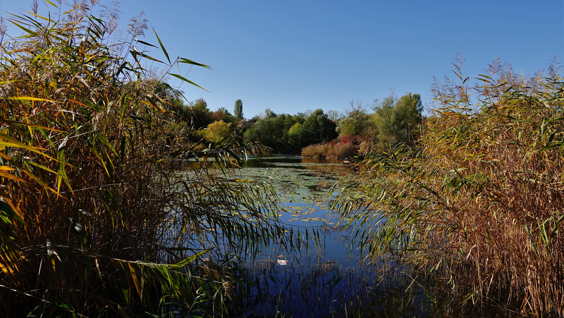 Herbst am See