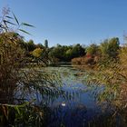 Herbst am See