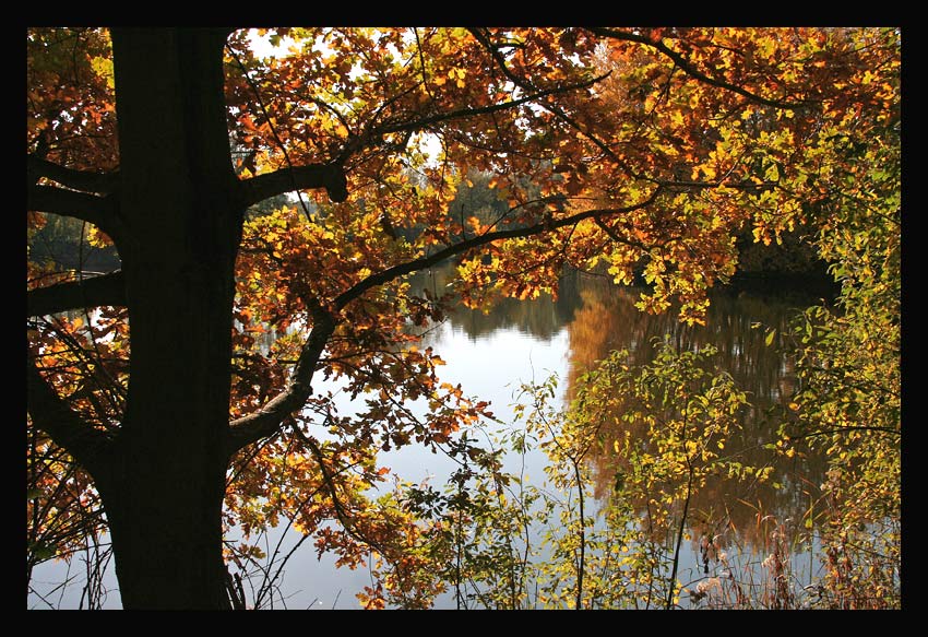 Herbst am See