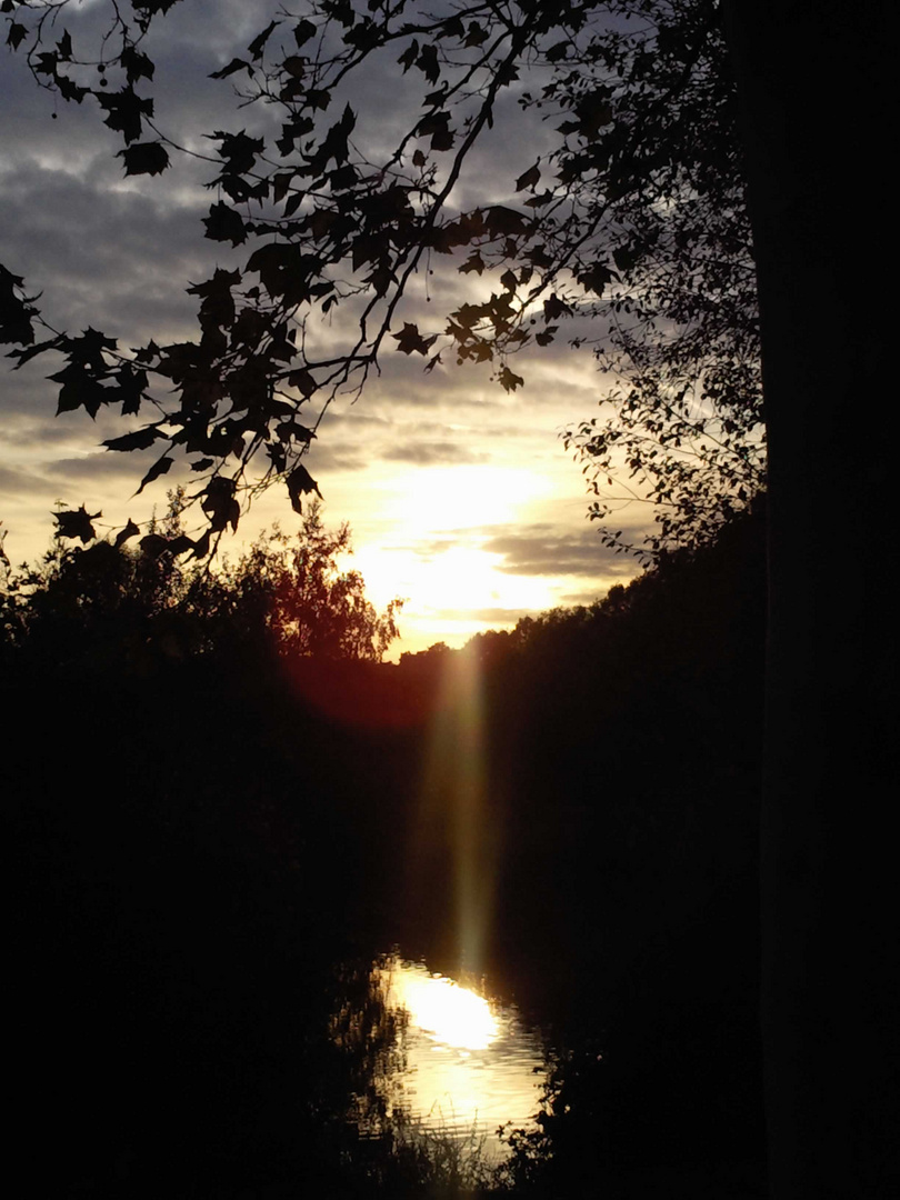 Herbst am See