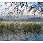 Herbst am See