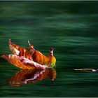 Herbst am See ........