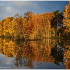 Herbst am See