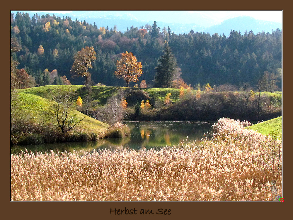 Herbst am See