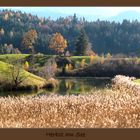 Herbst am See