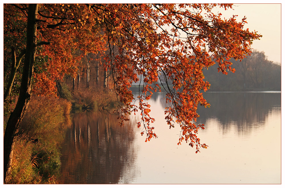 Herbst am See