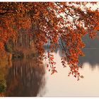 Herbst am See