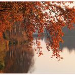 Herbst am See