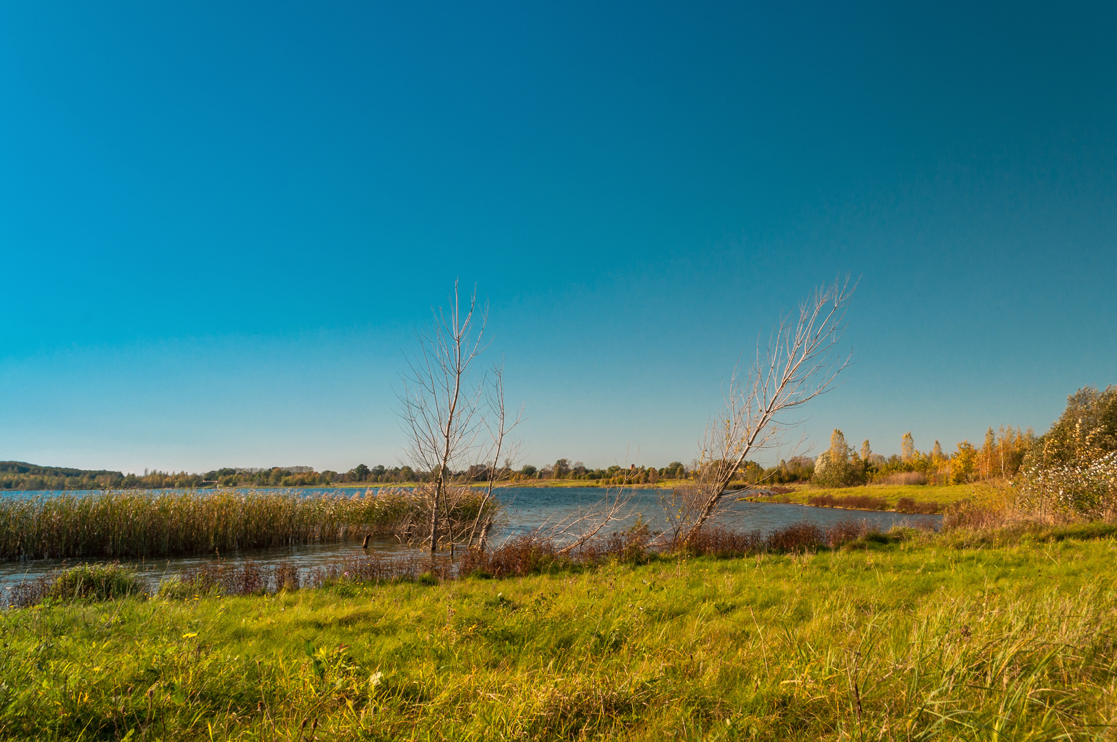 Herbst am See