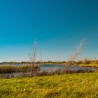 Herbst am See