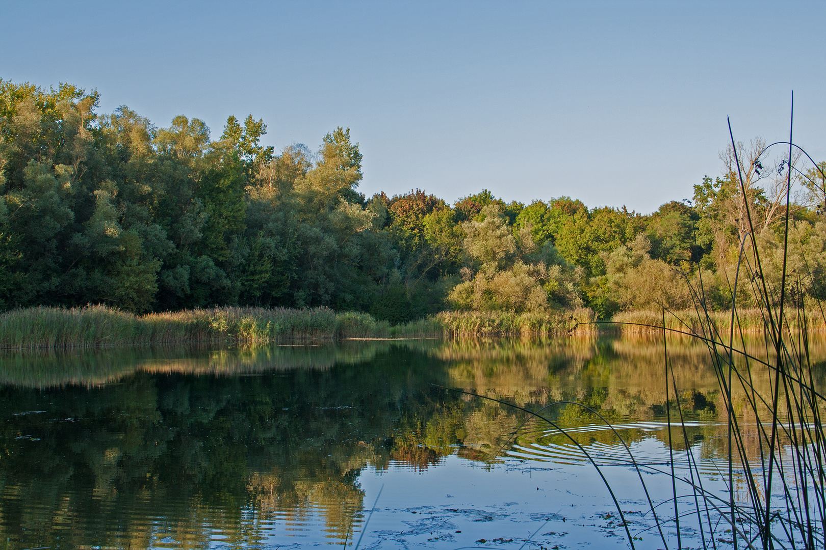 Herbst am See