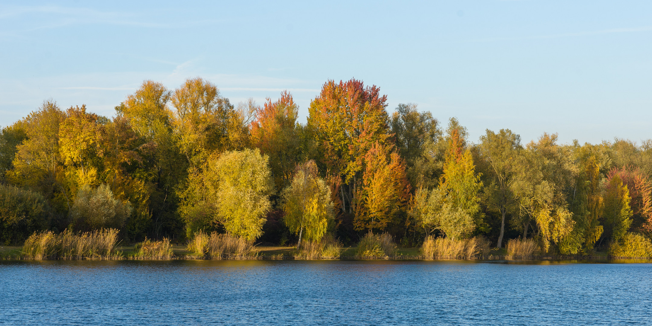 Herbst am See