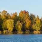 Herbst am See