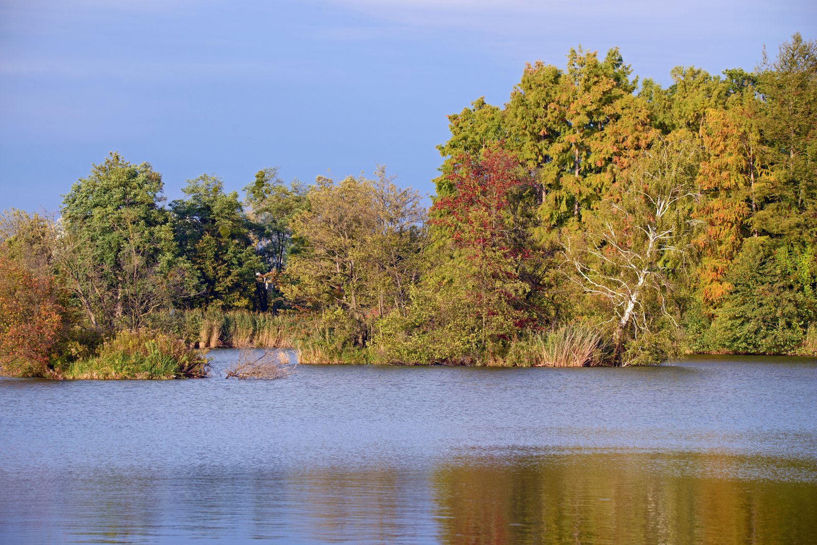 Herbst am See. 