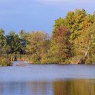 Herbst am See. 