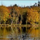 Herbst am See