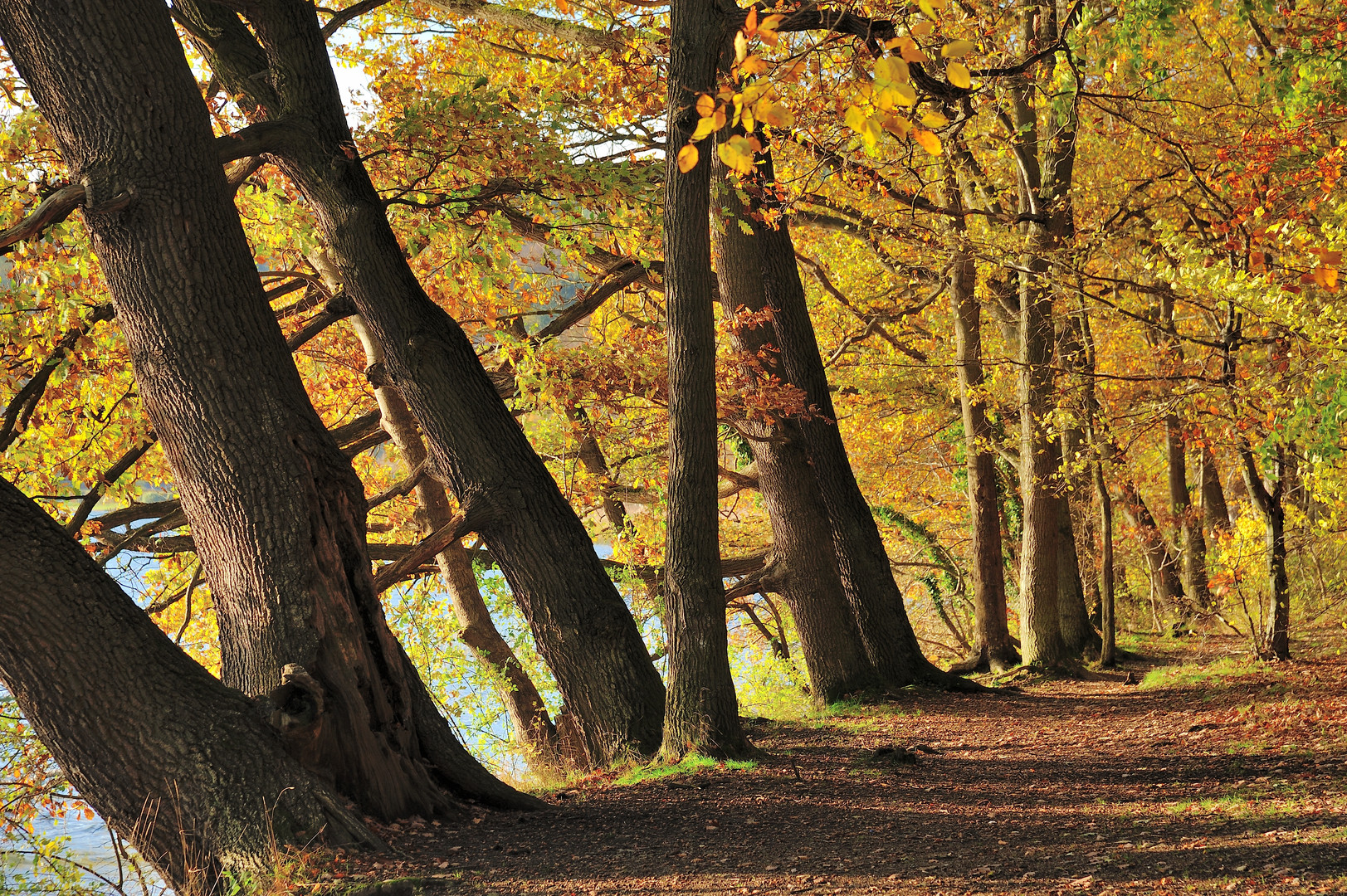 *Herbst am See*