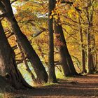 *Herbst am See*