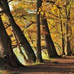 *Herbst am See*