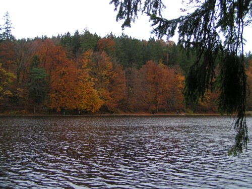 Herbst am See...