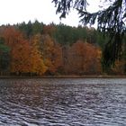 Herbst am See...