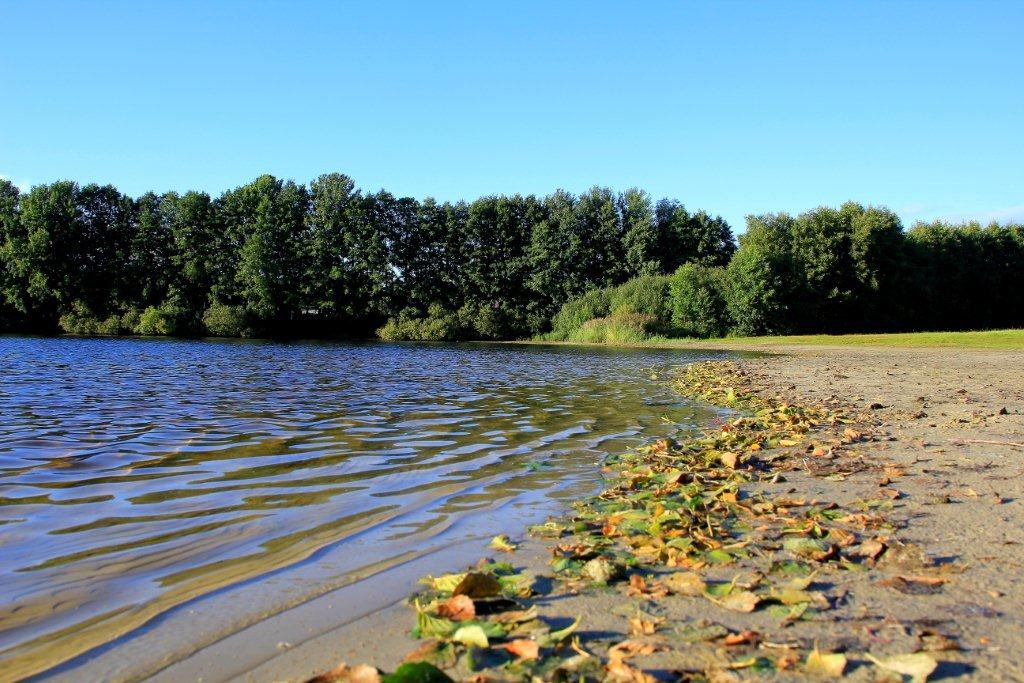 Herbst am See