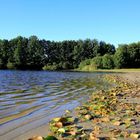 Herbst am See