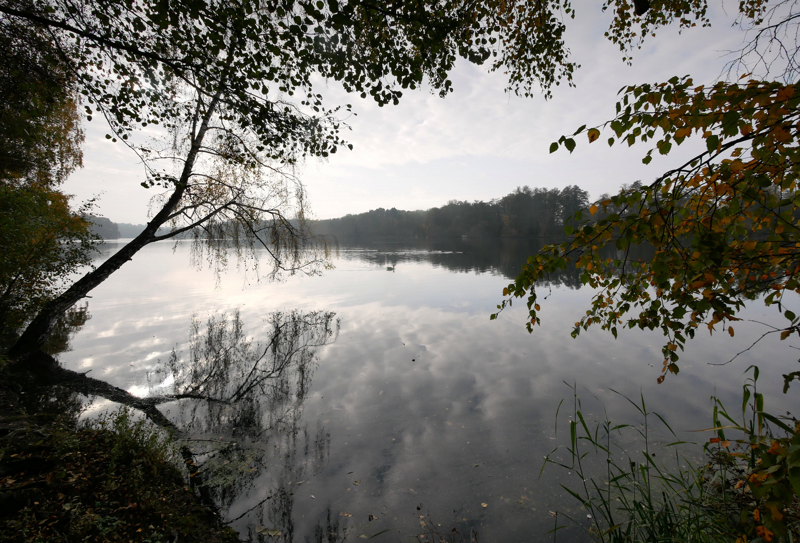 Herbst am See