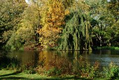 Herbst am See