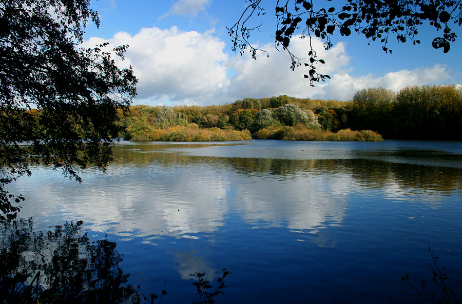 Herbst am See