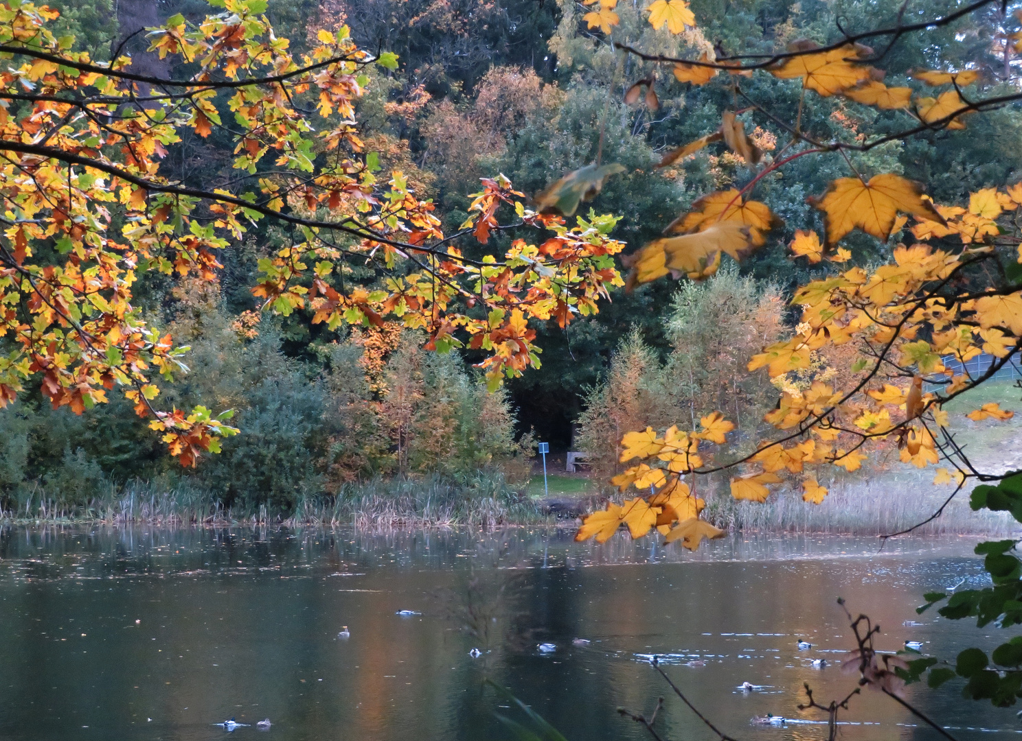 Herbst am See ...