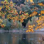 Herbst am See ...