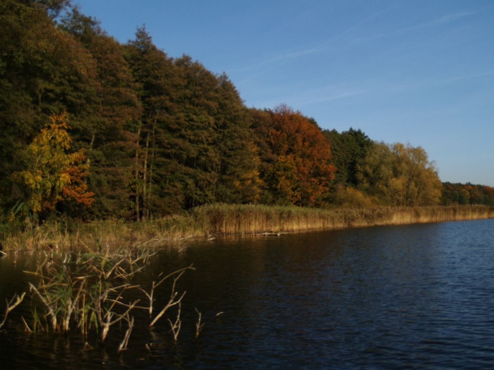 Herbst am See