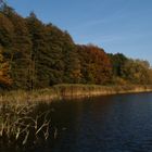 Herbst am See