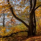 Herbst am See