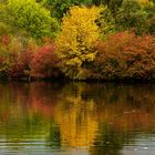 Herbst am See