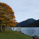 herbst am see