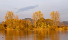 Herbst am See