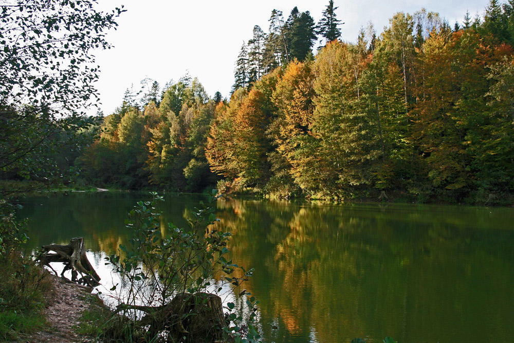 Herbst am See