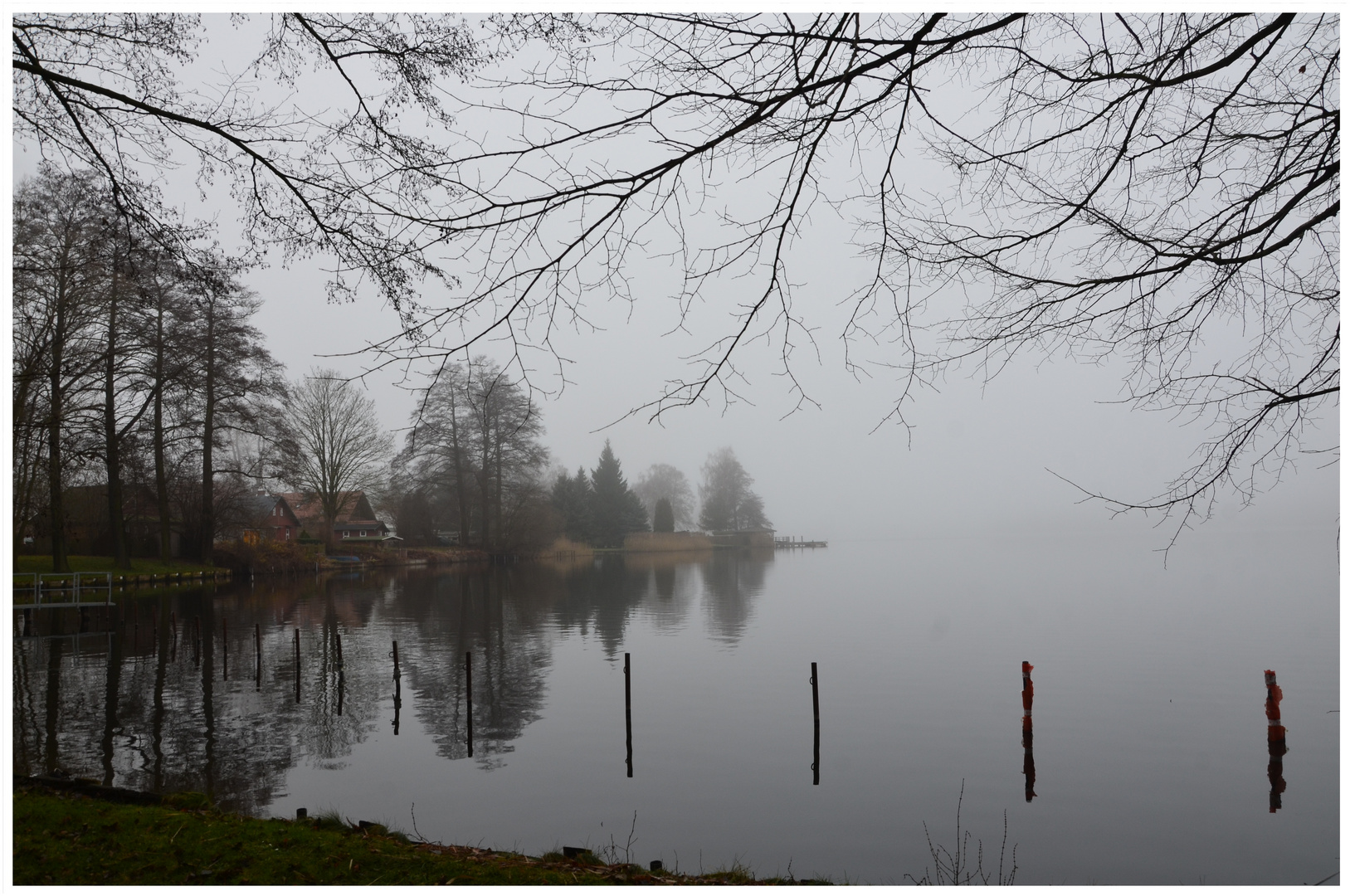 Herbst am See bei Nebelstimmung