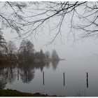 Herbst am See bei Nebelstimmung