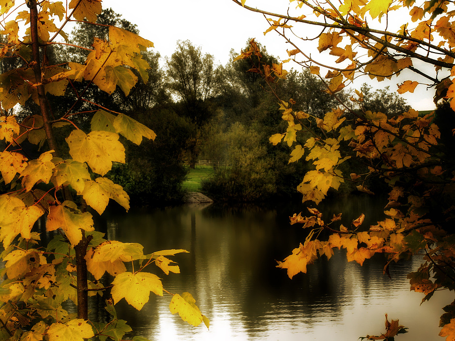 Herbst am See