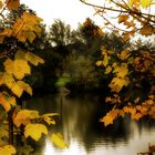 Herbst am See