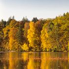 Herbst am See, BW