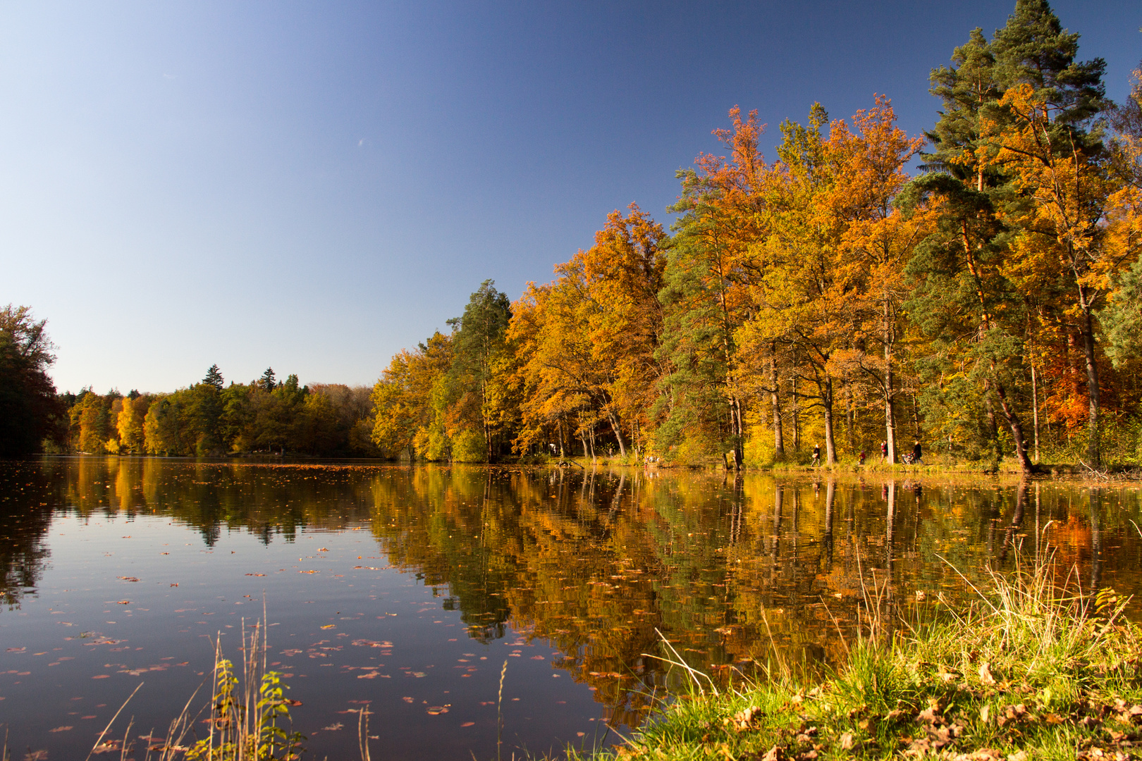 Herbst am See, BW