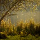 Herbst am See