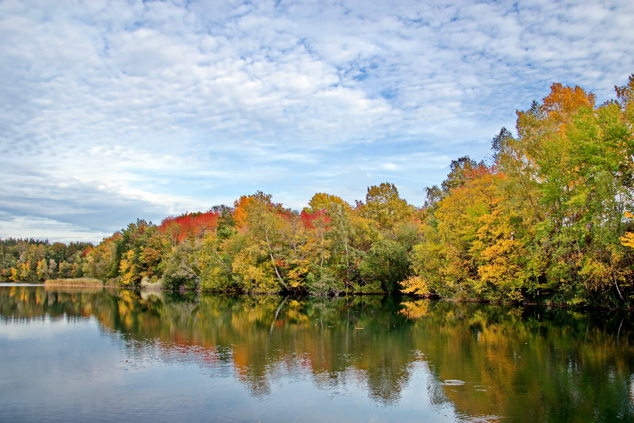 Herbst am See