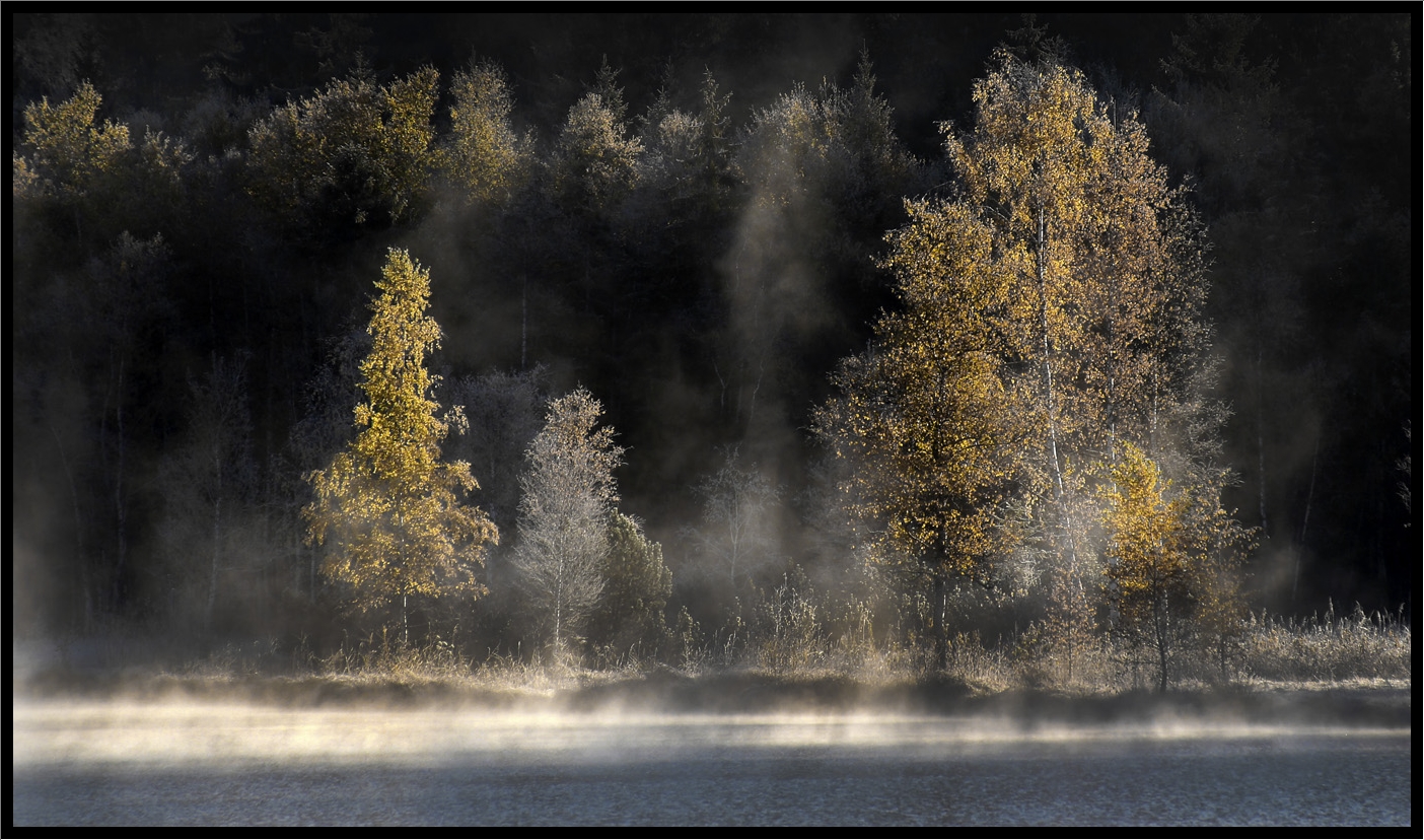 Herbst am See